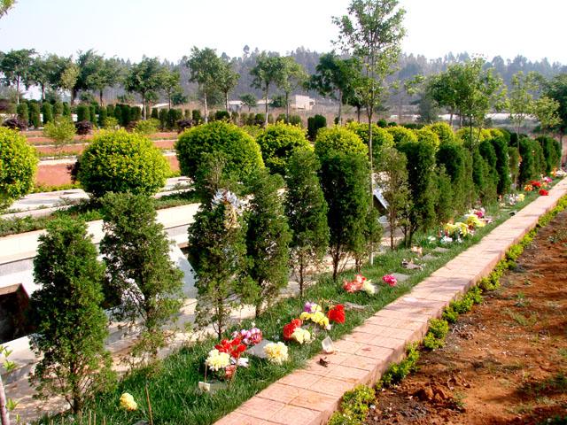 北京树葬价格多少？北京树葬哪家最好？