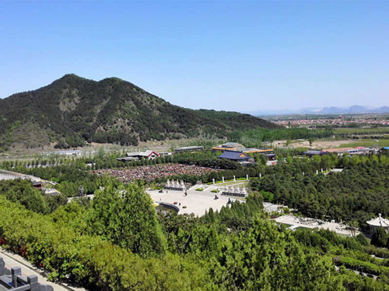 1683537396106714.jpg 1623205489193185.jpg