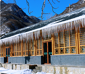 北京正规陵园多少钱？树葬公墓一般多少钱呢