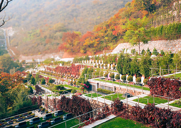 北京公墓指南：选择最适合的安息之地