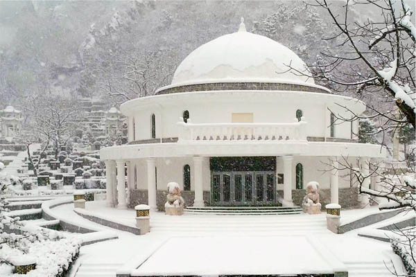 北京树葬价格概览：参考售价在1-