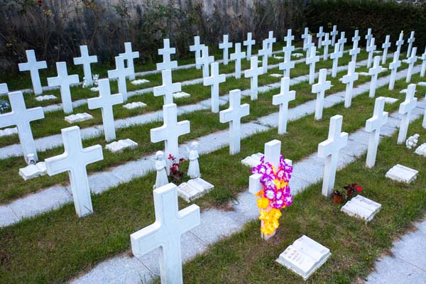 北京墓地哪里有树葬